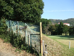 �S���t��