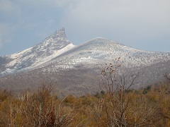 �n����x