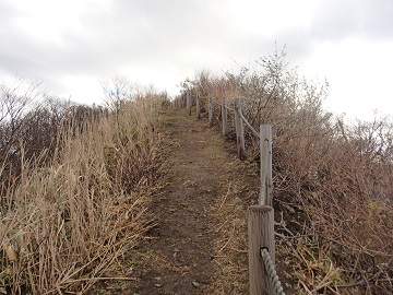 母恋冨士への道