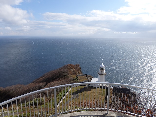 ����w����n������