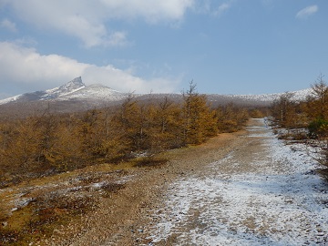 �n�m�w�ւ̓o��