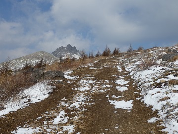 �n�m�w�ւ̓o��