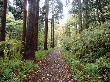 旧登山道コース
