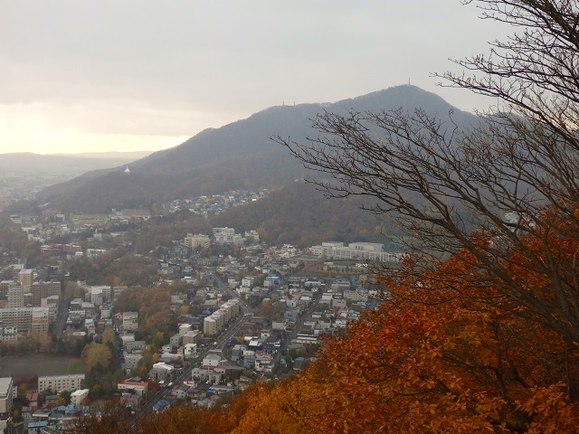 �D�y�E�~�R���猩������R