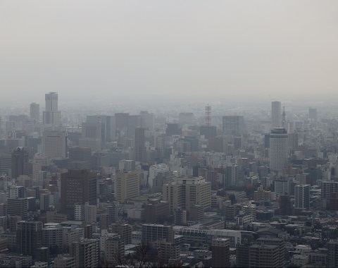 円山からの展望