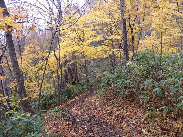 ����R�E���[��a�@�O�R�[�X