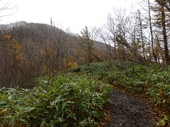 ����R�ւ̓�