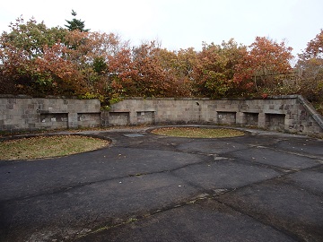 ��a�R���C���