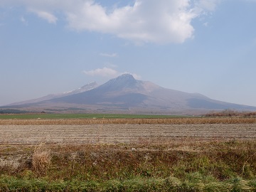 �n����x