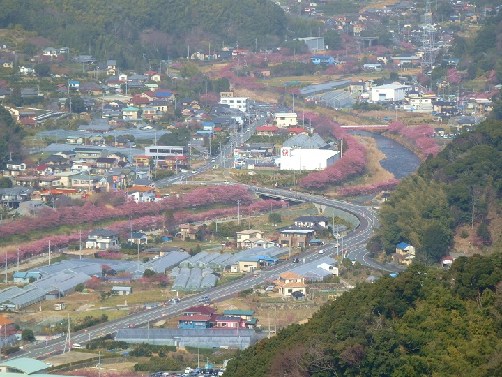 �͒Í��̍�����