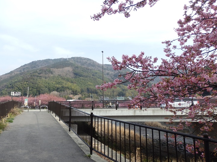 ����Â��ł䋴