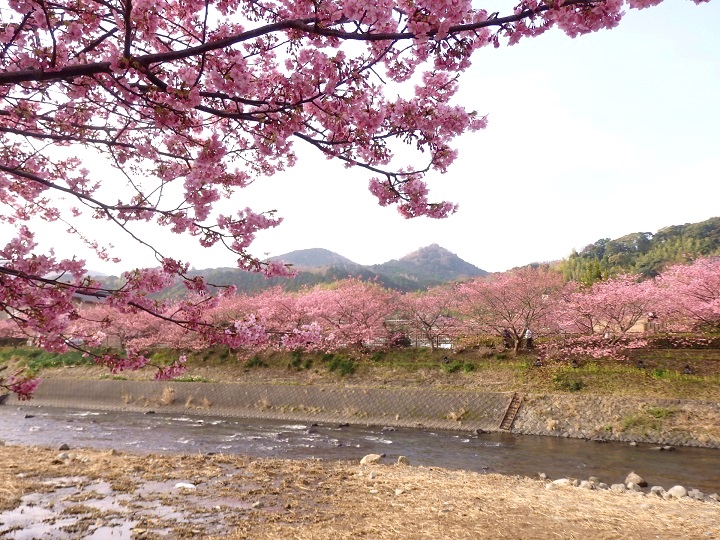 �͒Ò�����