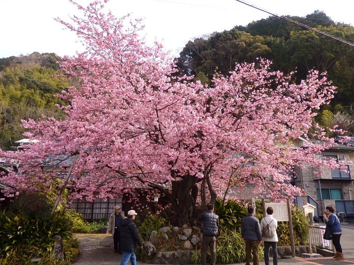 �͒Í�����