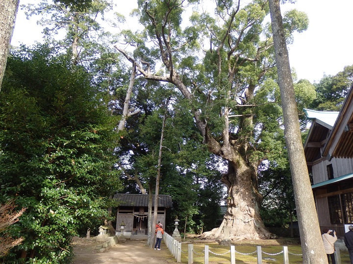 �͒Í�����