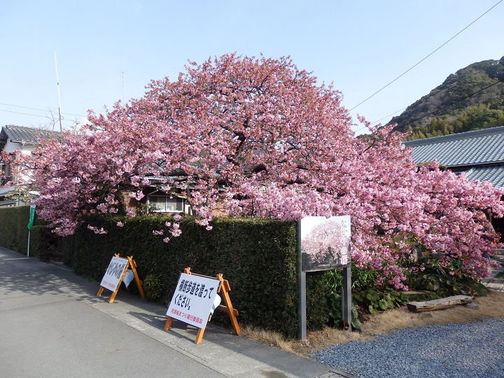 ������̍�