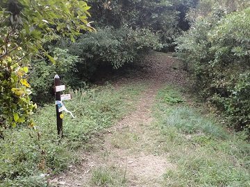 ���ё䕪��