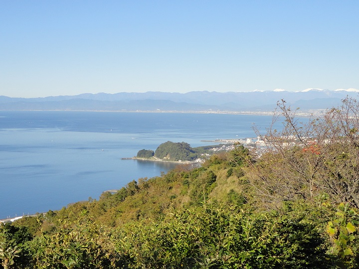 �u���R����̓W�]