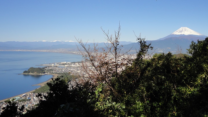 ���h���R����̓W�]