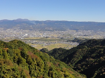 �啽���ʂ̓W�]