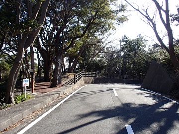 �s�N�j�J���R�[�X����