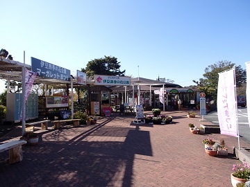 �ɓ��C�m����