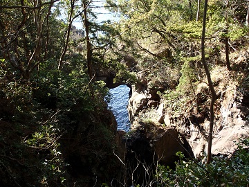 �͂�������