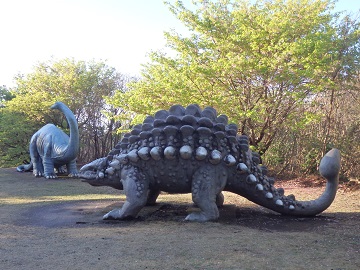 �����R�E�����L��