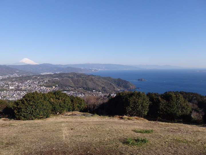 �����R����x�m�R�A���͘p�̓W�]