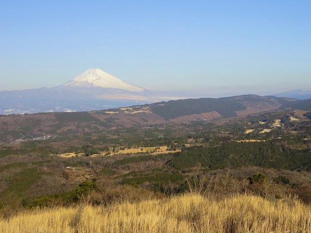 �F�����w���瑃�_�R