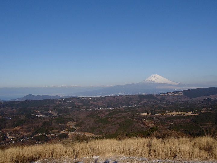 ���_�R����̓W�]