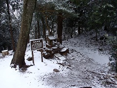 �����̕�