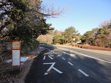 �_���}�R�������X�g�n�E�X�o�X��