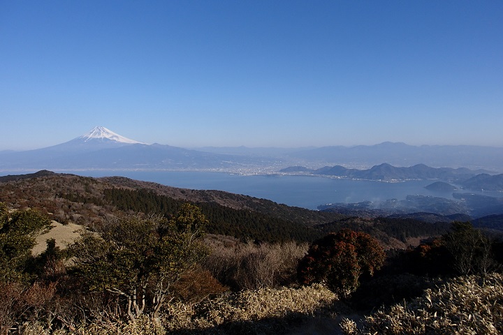 �����R����̓W�]