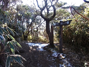 ���B���R