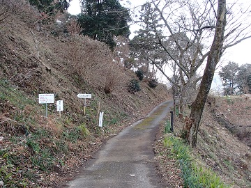 ����R�o���