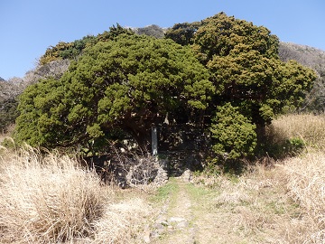 �����_��