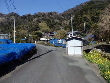 �g�c�̏W��