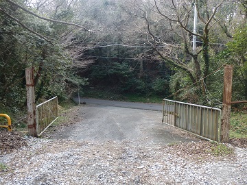 �����c�X��