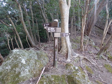 �ԉ��蕪��