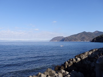 ��A���v�X