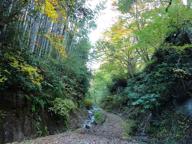 ����ސؒʂ̍g�t�Ɖ��t