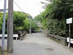 �����n��