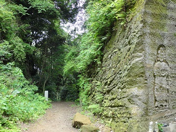 ����̖��R��