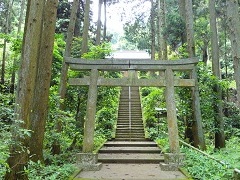 �����ƊK�i