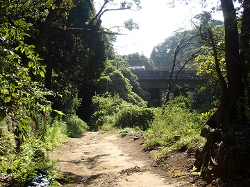 ���l���{�ꓹ�H