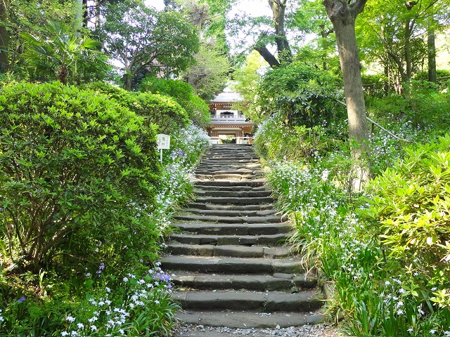 �k���q�E��q���̎Q��