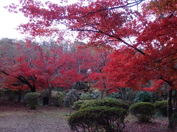 �����R�����̍g�t