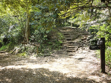 ������ׂւ̕���