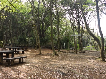 ��������ǂ��L��