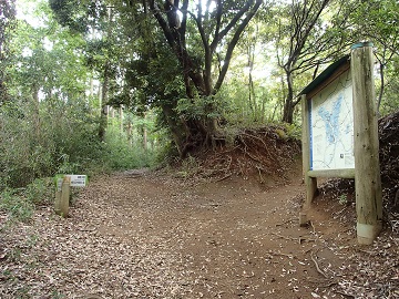 ���򎩑R�����ւ̕���